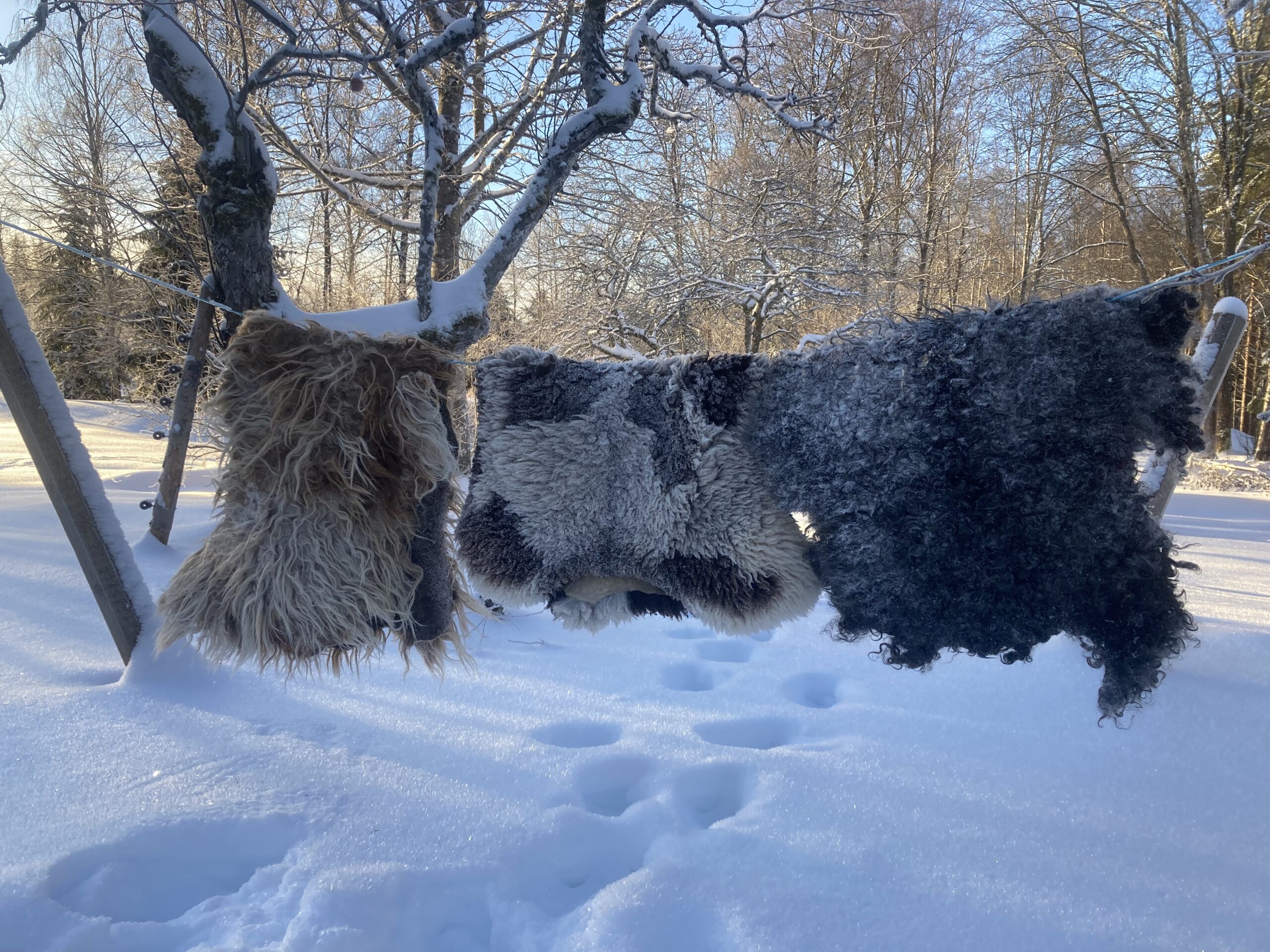 Midwinter Wool Magic